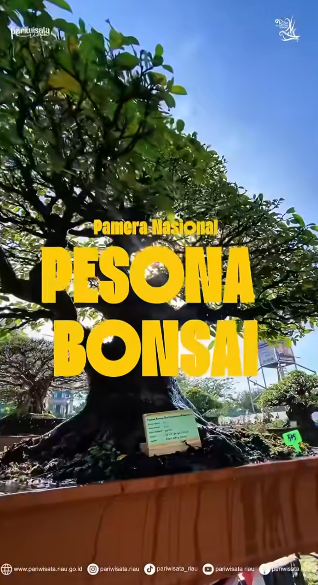 Pameran Nasional Pesona Bonsai